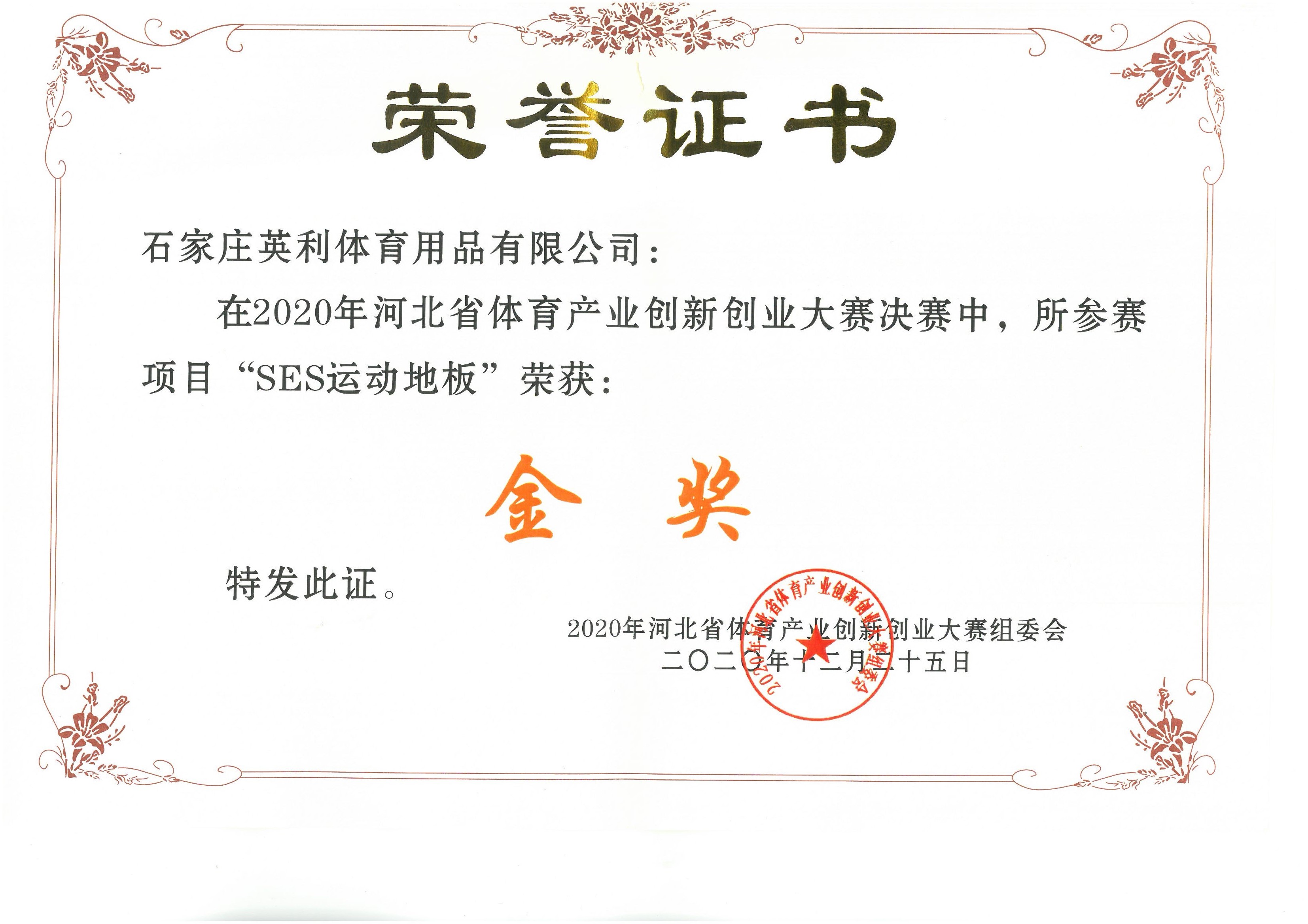 河北省體育產業創新創業大賽唯一金獎